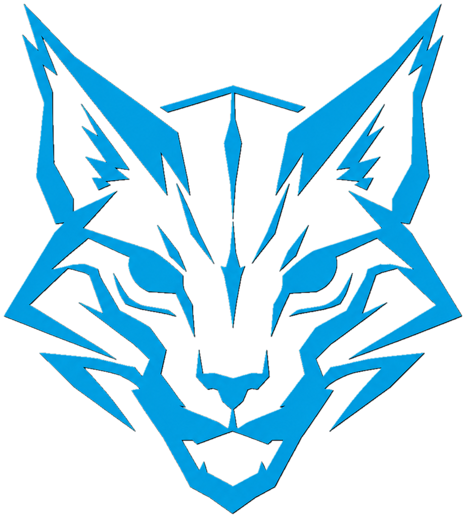 SecureLynx logo mark